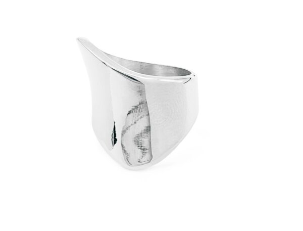 The Pure Bliss Silver ring